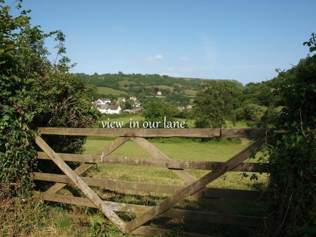 Stunning Countryside Views & Private Balcony! Cozy Room, 3 Miles To Lyme Regis - Free Parking & Wifi แอ็กซ์มินสเตอร์ ภายนอก รูปภาพ