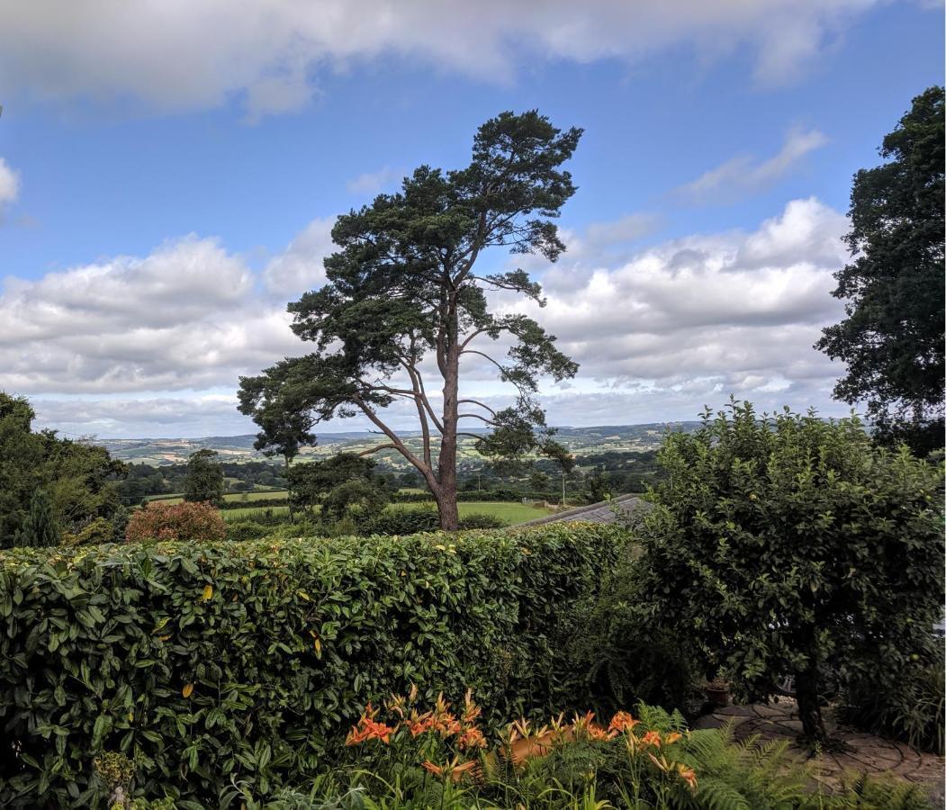 Stunning Countryside Views & Private Balcony! Cozy Room, 3 Miles To Lyme Regis - Free Parking & Wifi แอ็กซ์มินสเตอร์ ภายนอก รูปภาพ